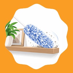 Plumeau