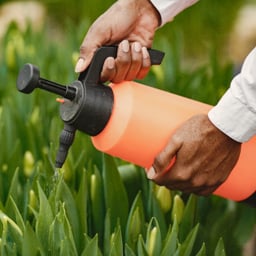 Traitements du jardin et des plantes