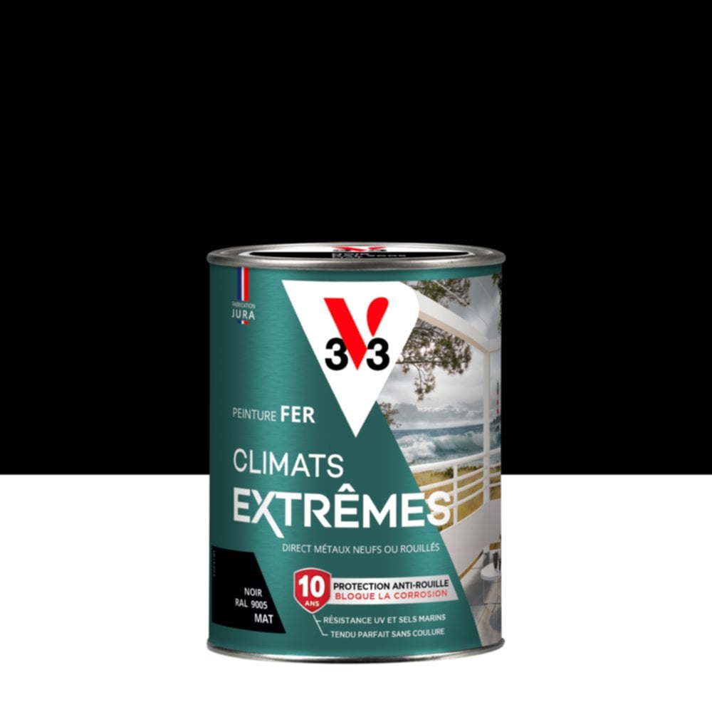 Peinture Fer Climats Extrêmes Mat Noir 0,25 L