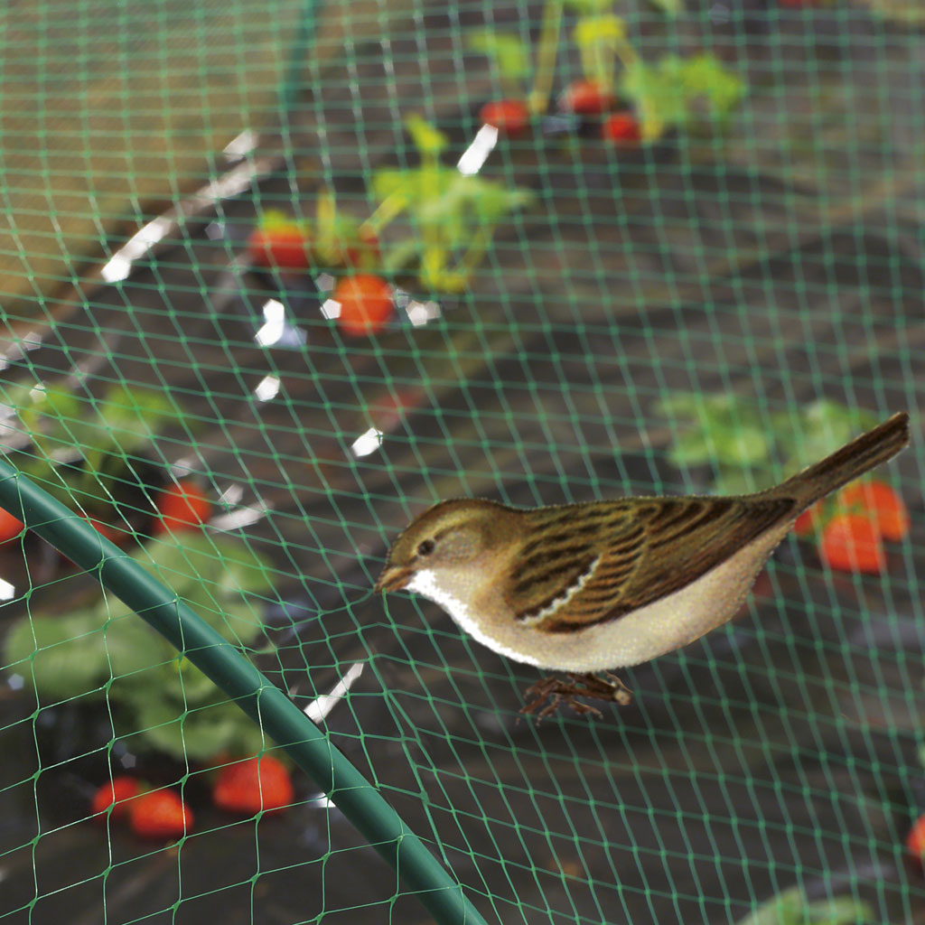 Birdnet filet de protection oiseaux 4x6m - INTERMAS