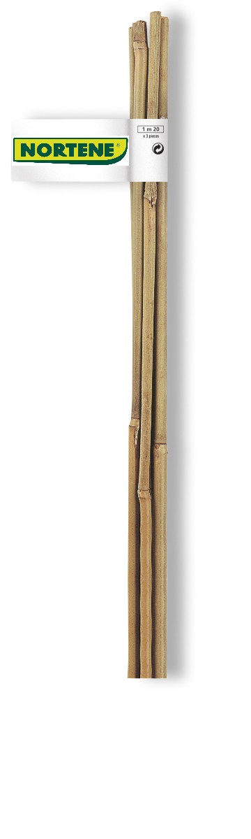 Tuteur bambou naturel lot 1 gencodé Ø 16/18mmx2,10m - INTERMAS