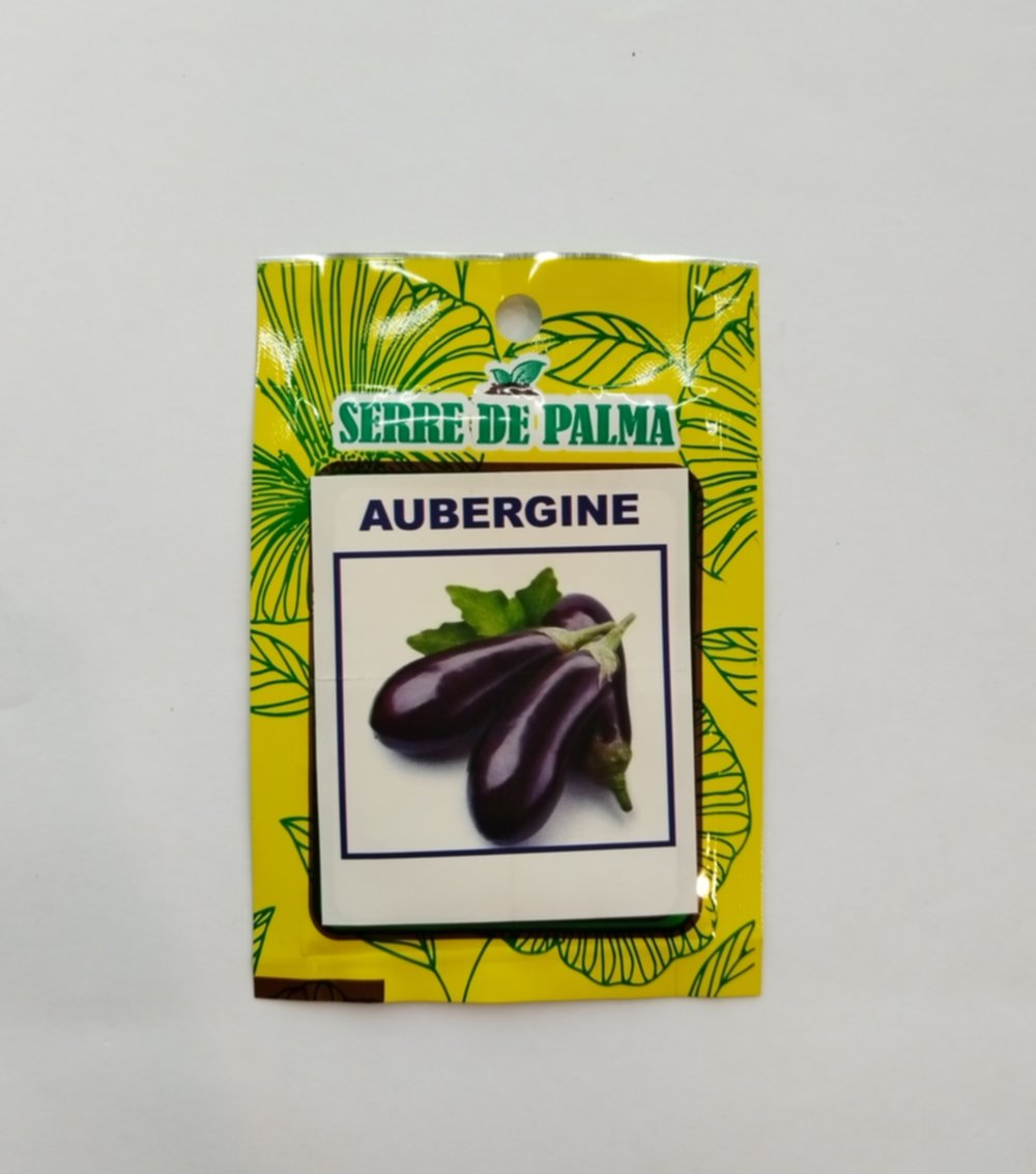 Graines d'aubergine