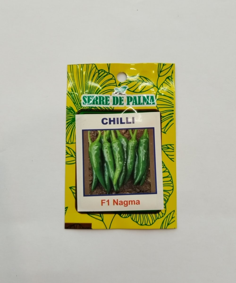 Graine de gros piment vert