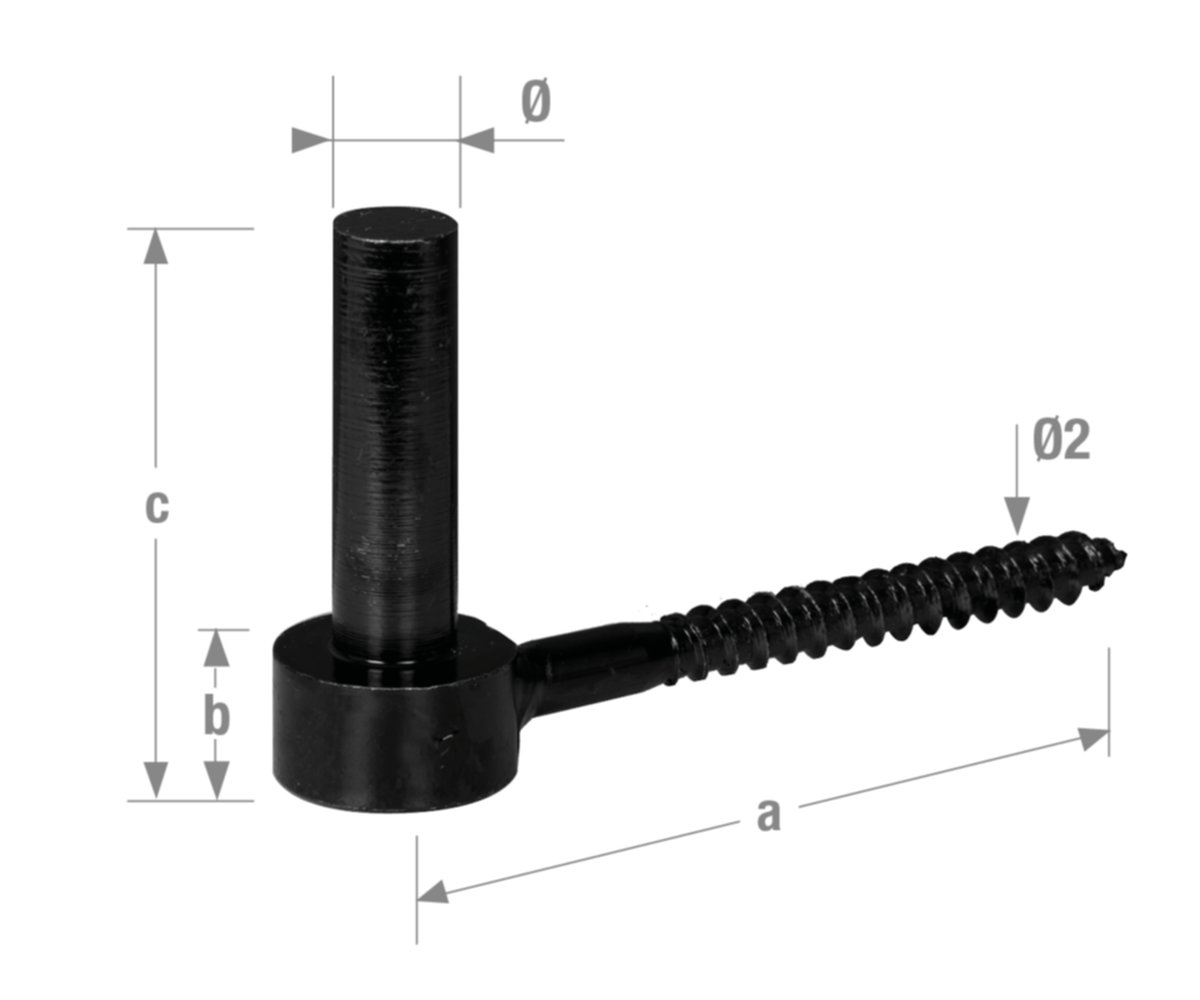 Gond à visser D16 x 102 mm acier noir - CQFD