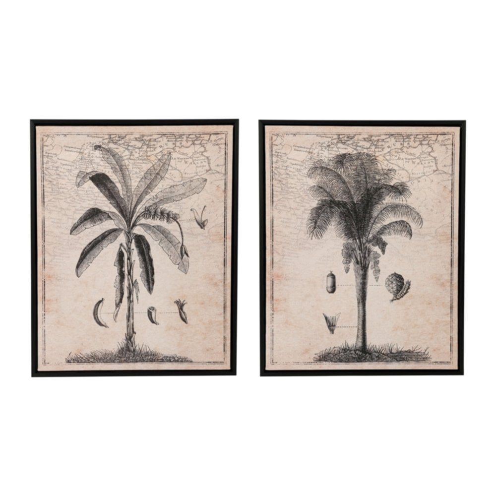 Toile imprimée Palm Tree 60 x 45 cm 2 assortis - OSTARIA