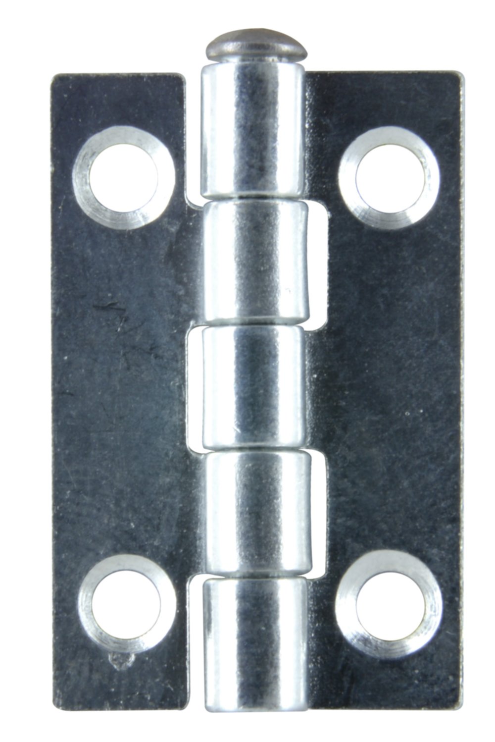 Charnière rectangle acier zingué 30x19 mm x2