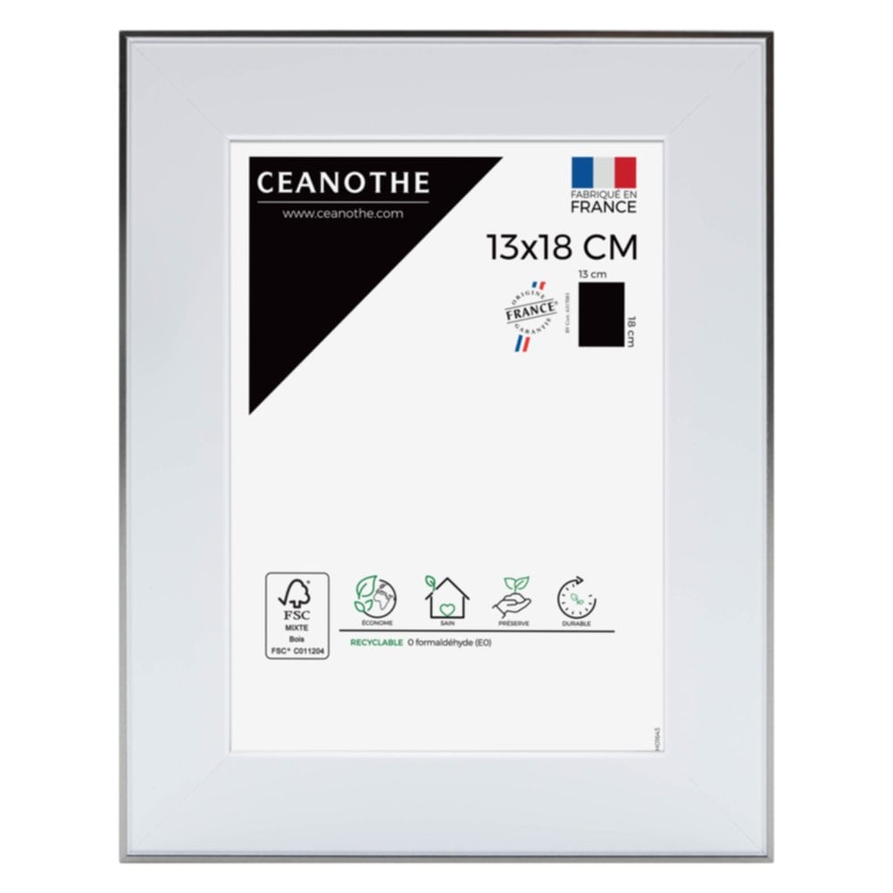 Cadre photo Newton acier 13x18cm - CEANOTHE