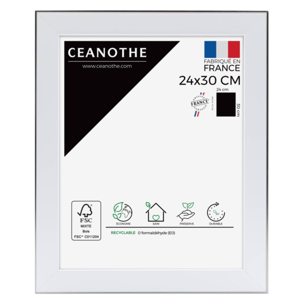 Cadre photo Newton acier 24x30cm - CEANOTHE