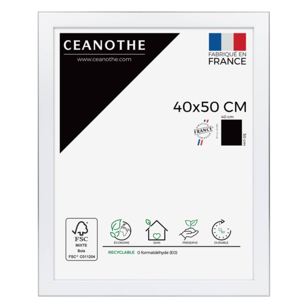 Cadre photo Newton acier 40x50cm - CEANOTHE