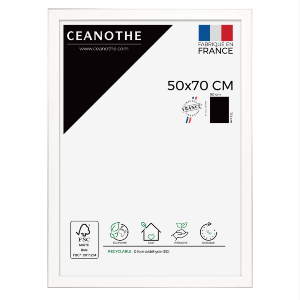 Cadre photo Newton acier 50x70cm - CEANOTHE