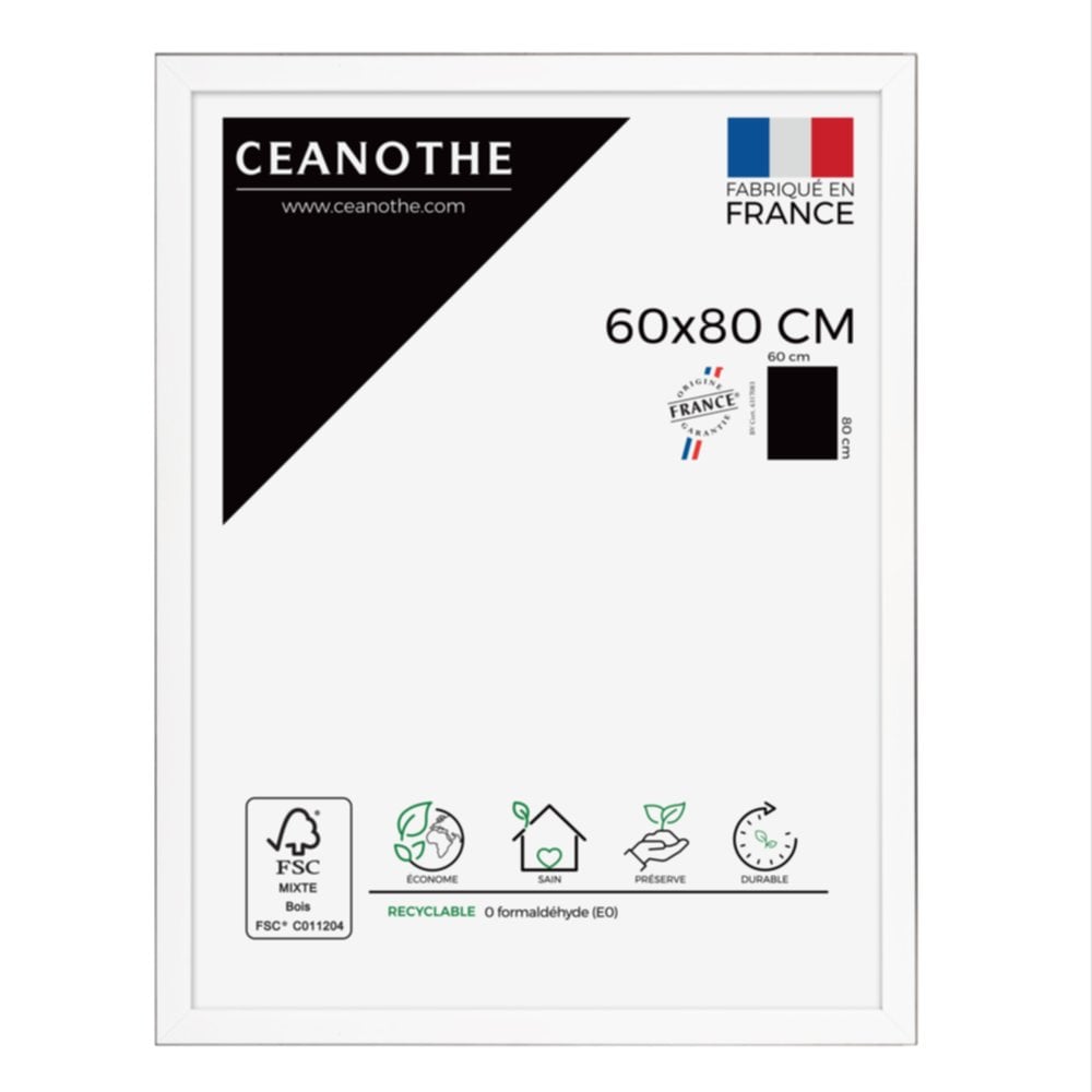 Cadre photo Newton acier 60x80cm - CEANOTHE