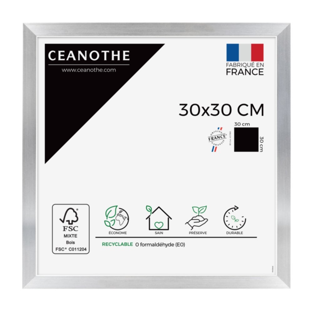 Cadre photo Precious acier 30x30cm - CEANOTHE