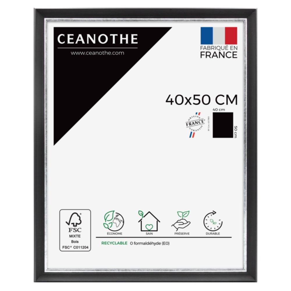 Cadre photo Pandore noir argent 40x50cm - CEANOTHE