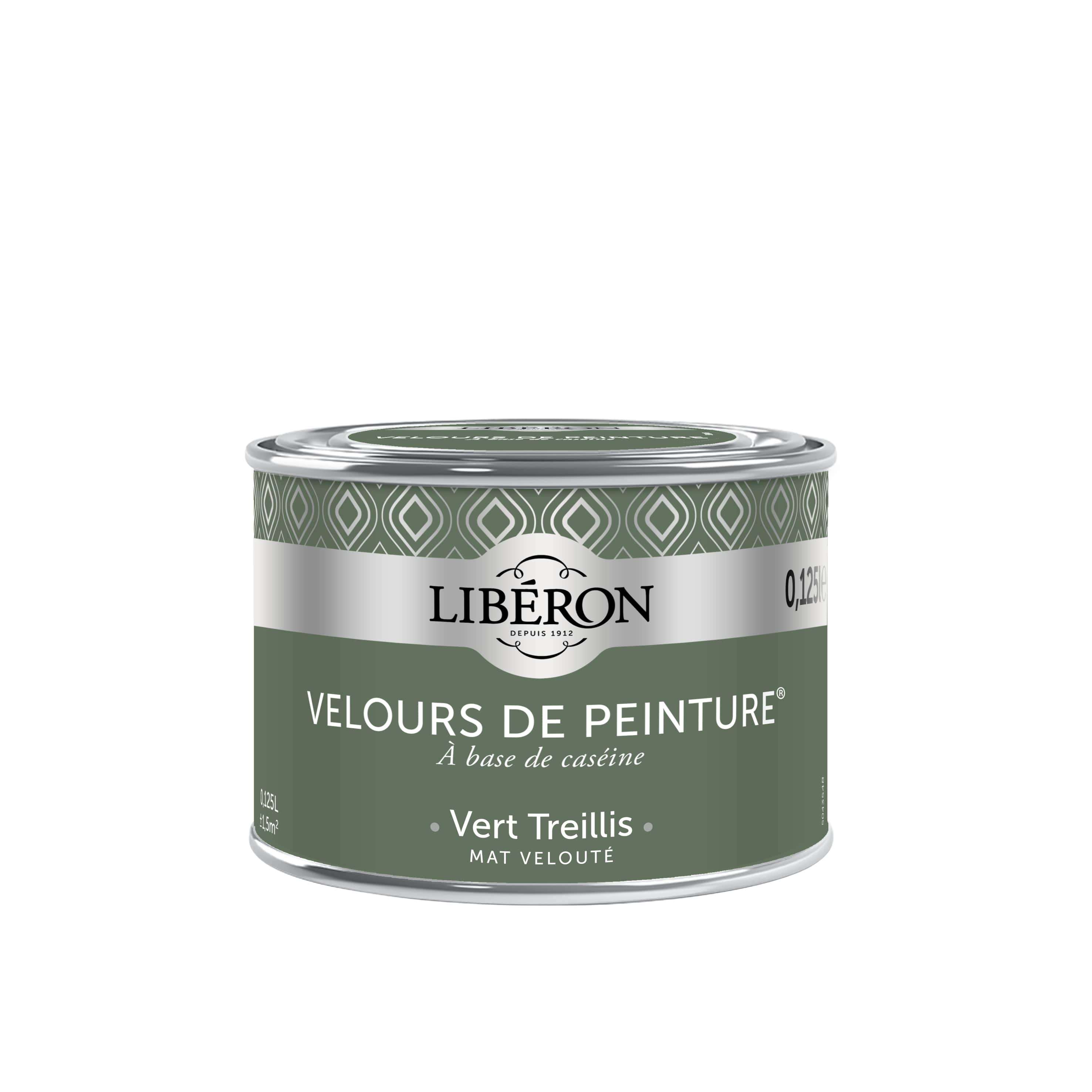 Peinture murale Velours vert treillis 125 ml - LIBERON