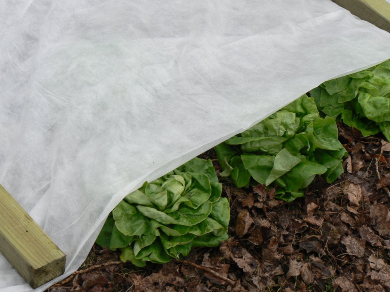 Voile hivernage 30g/m2 2 x 5 m blanc - IDEAL GARDEN