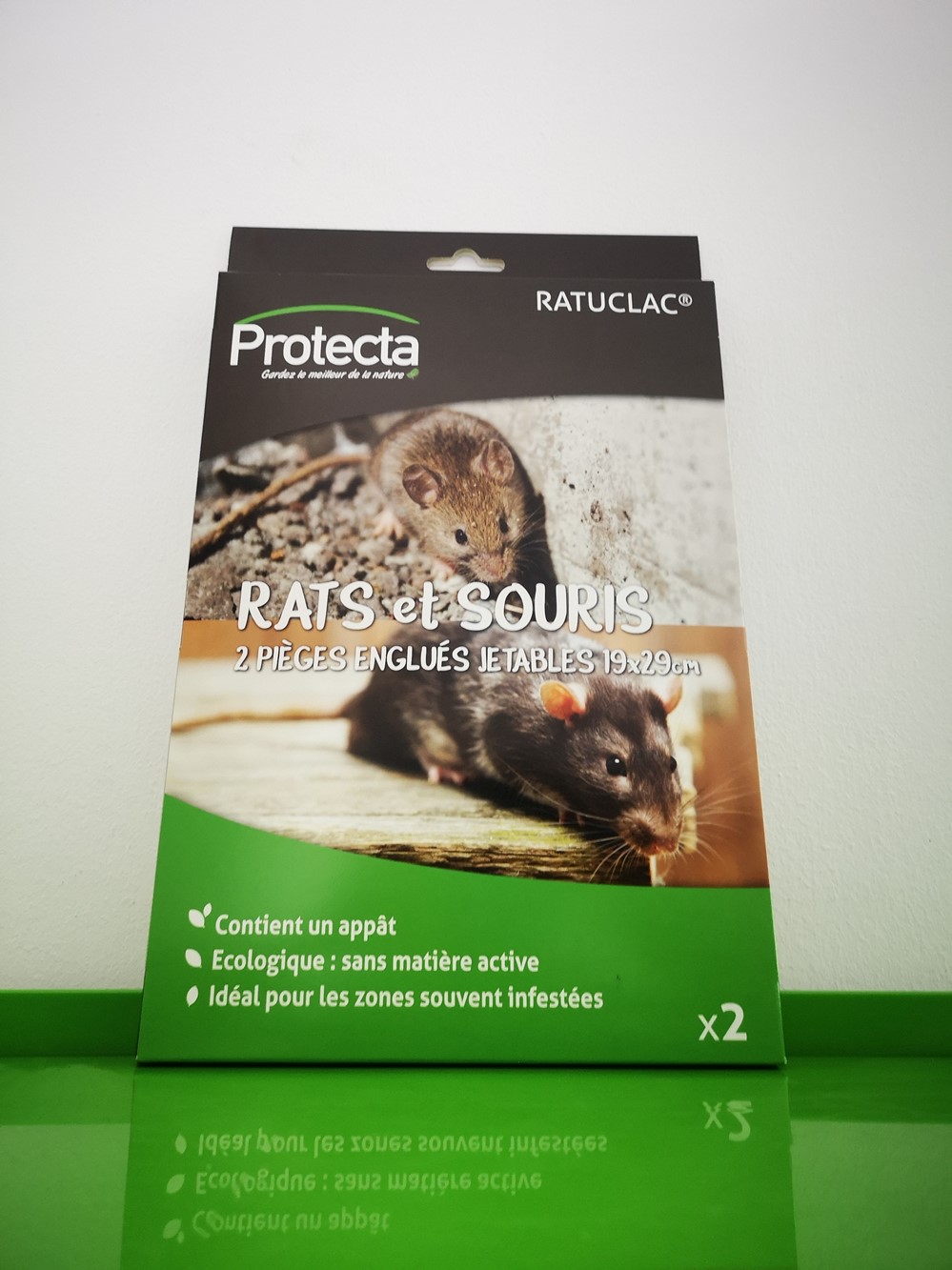 Colle rodenticide rat souris tube glu anti rongeurs