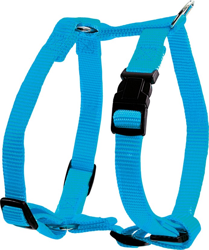 Harnais nylon réglable - 40mm - Turquoise