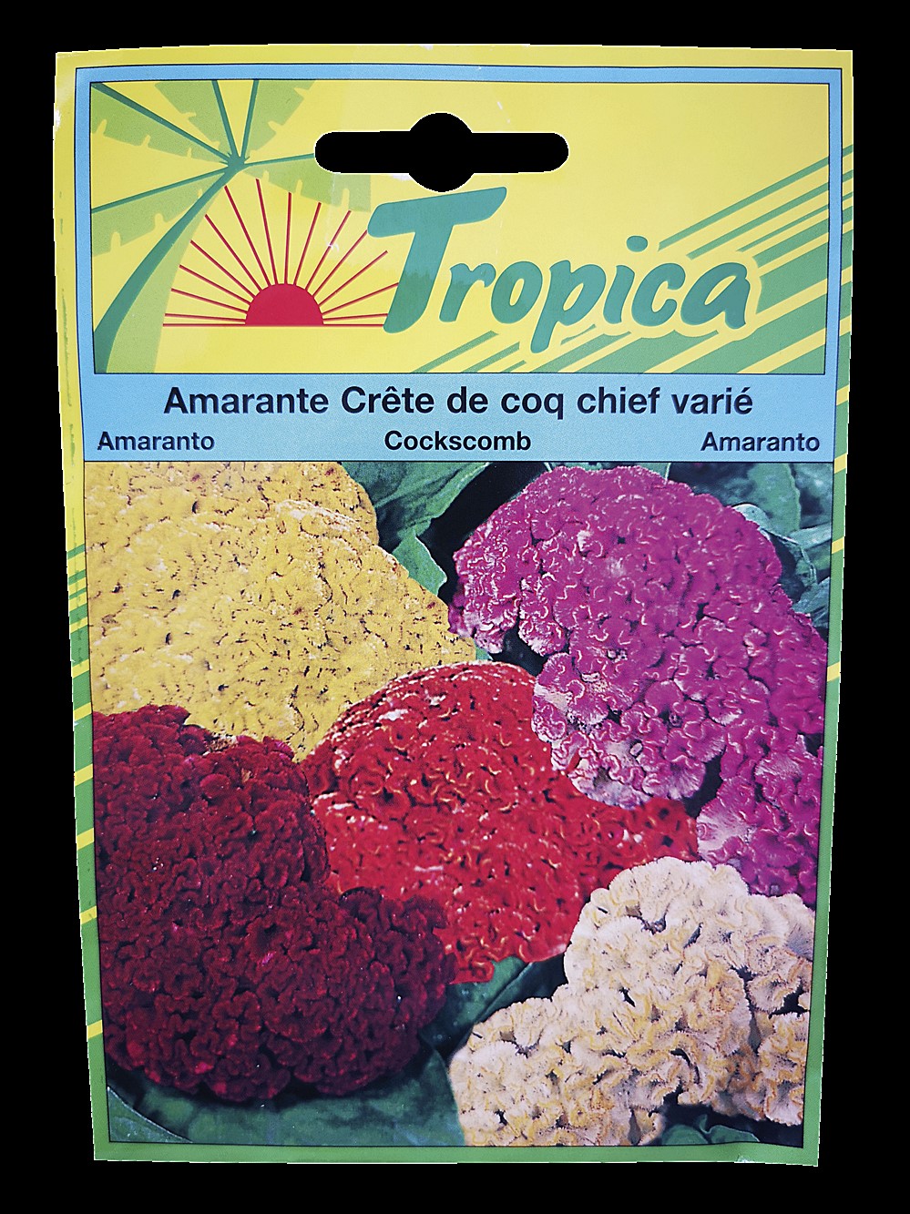 Amarante Crête de coq chief varié - TROPICA