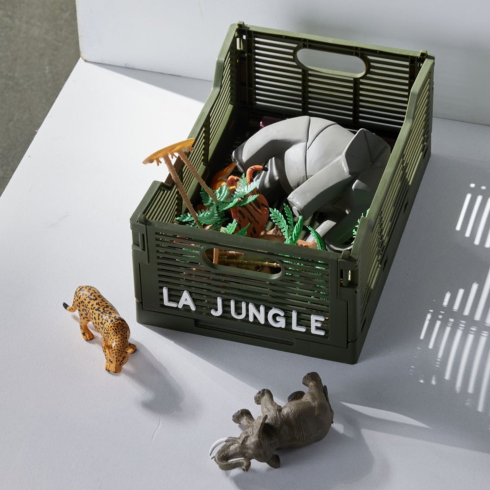 Caisse pliable plastique Le roi de la jungle 30,5 cm kaki - TODAY