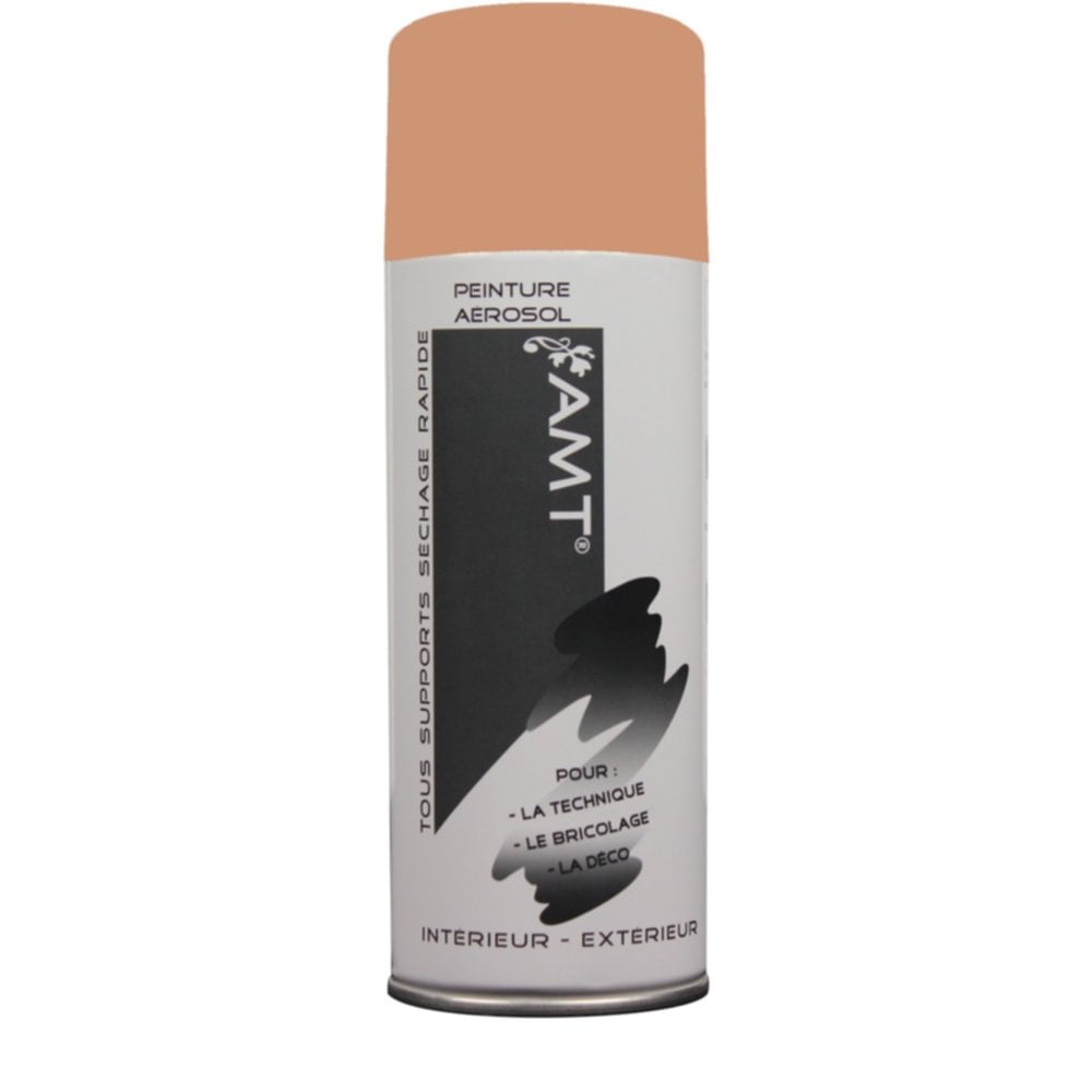 Peinture aérosol blush mat 330 mL - AMT