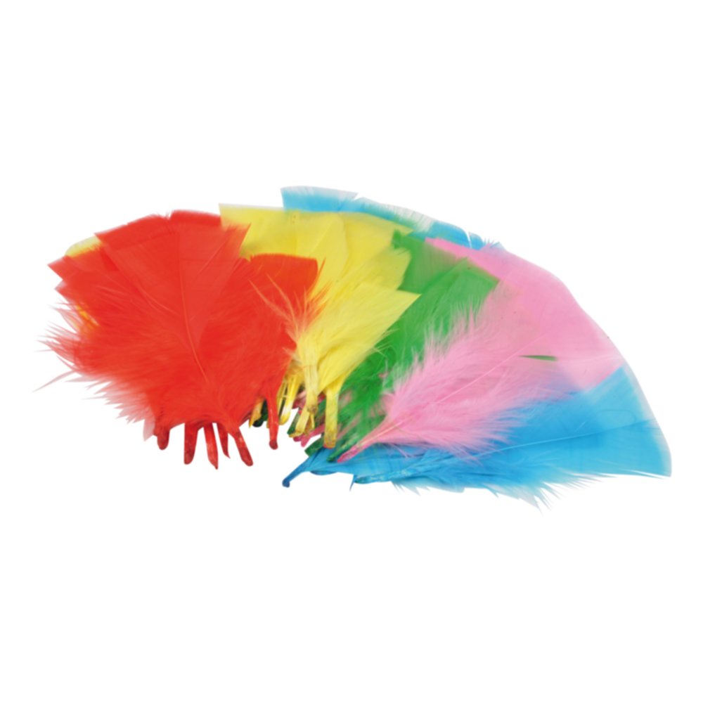 50 plumes 7/10cm couleurs variées - HOMEA