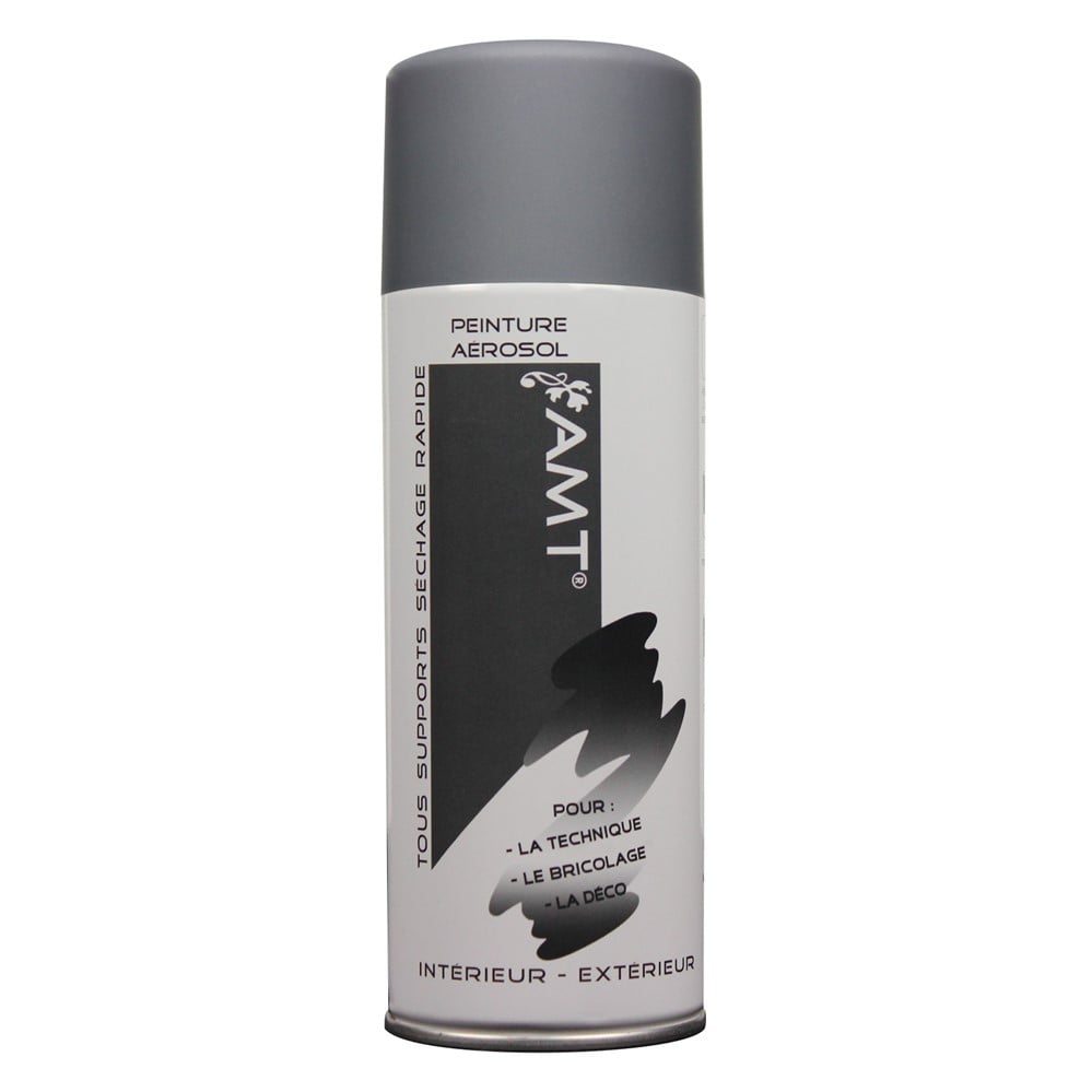 Peinture aérosol gris mat - AMT