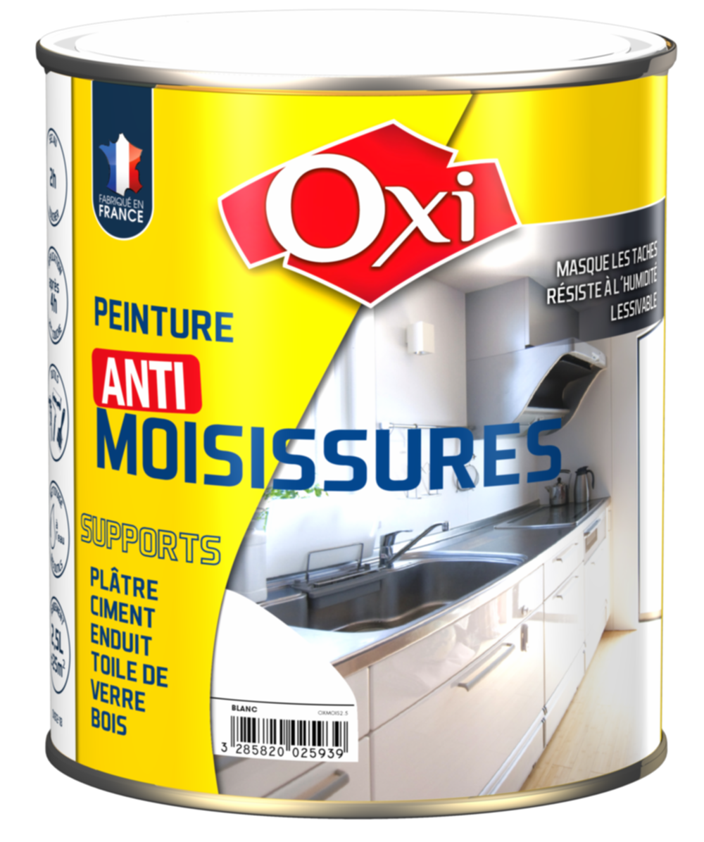 Traitement anti-moisissures 2.5 L - OXI - Mr Bricolage