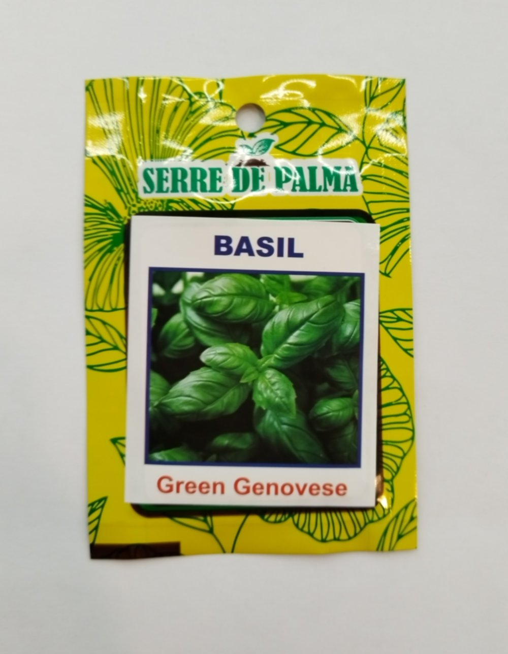 Graines de basilic