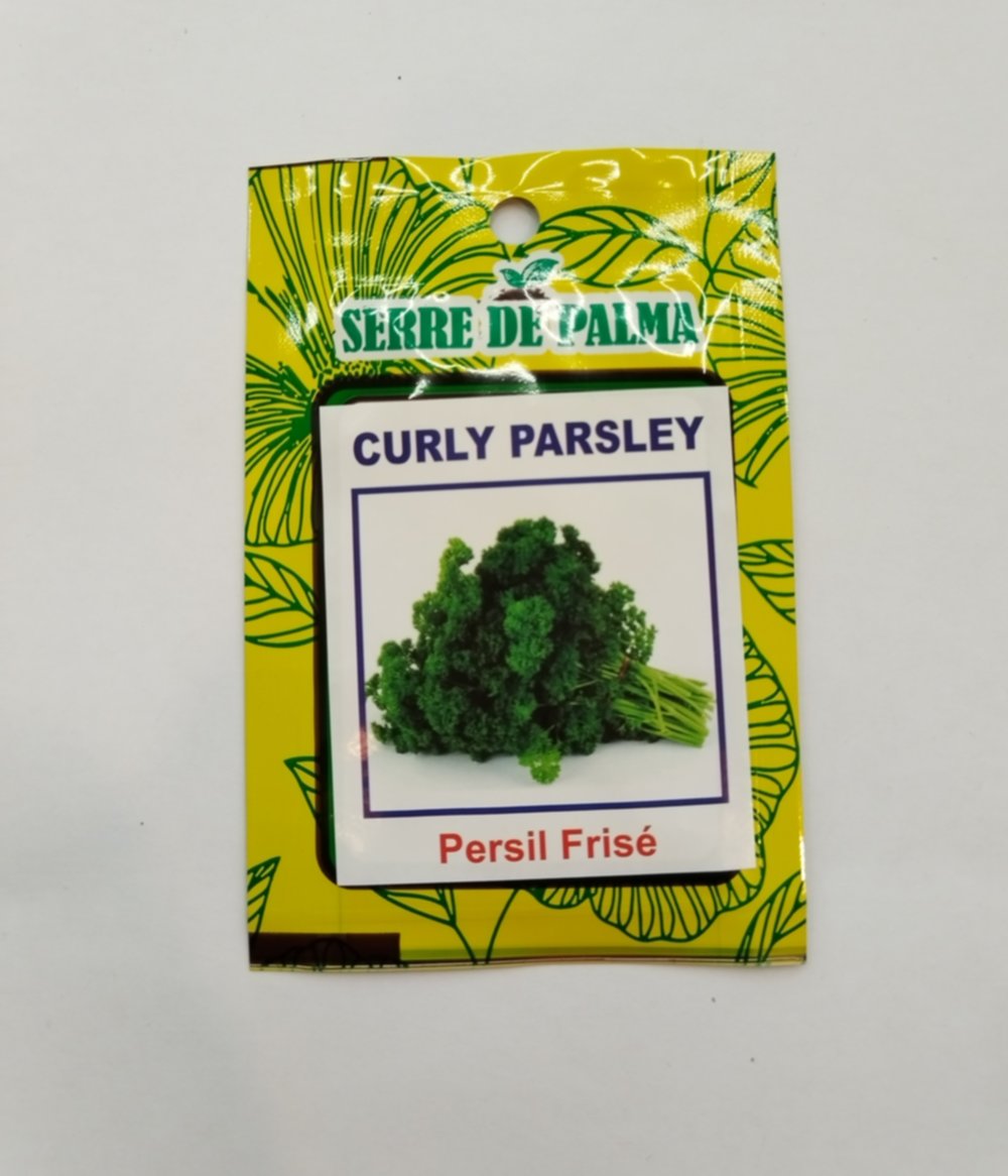 Graines de persil frisé