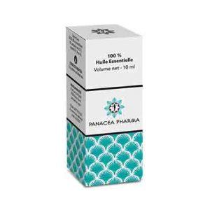 Huile essentielle eucalyptus globuleux 10 mL - PANACEA