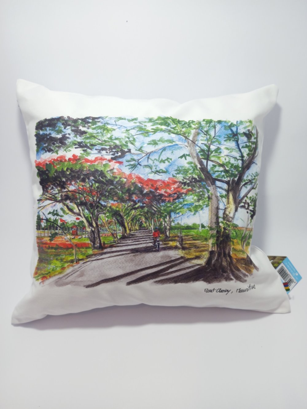 Coussin imprimé couleur Mont Choisy 40 x 40 cm - FLORENT BEUSSE