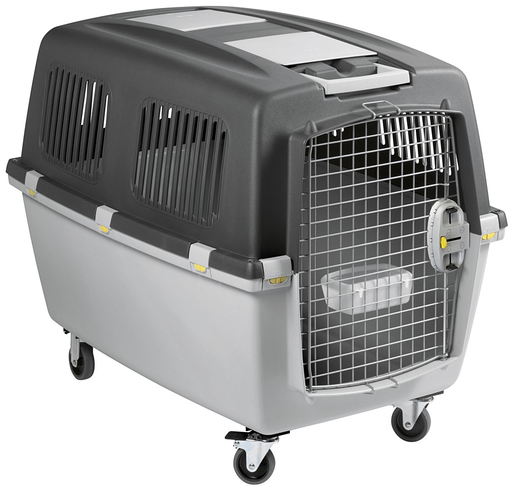 Panier transport chien Gulliver norme IATA taille 6 gris