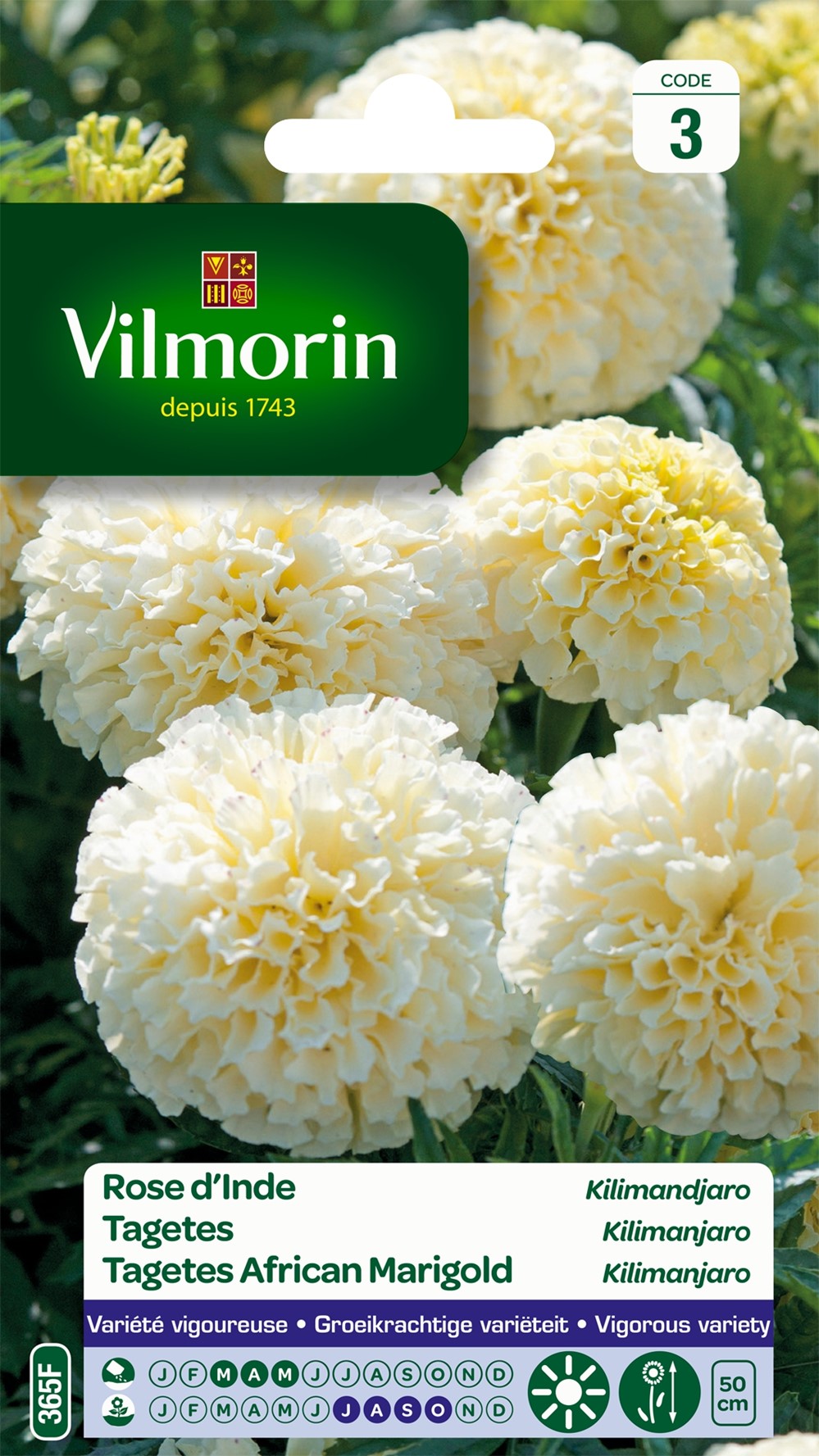 Graines Rose d'Inde Kilimandjaro - VILMORIN