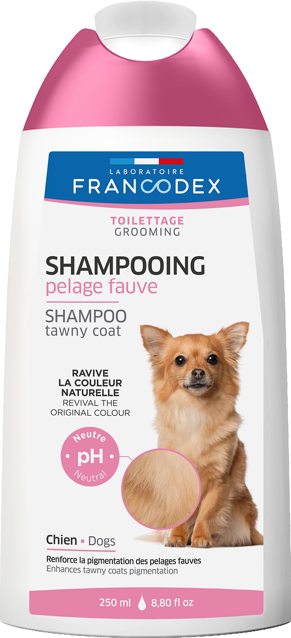 Shampooing chien pelage fauve 250ml