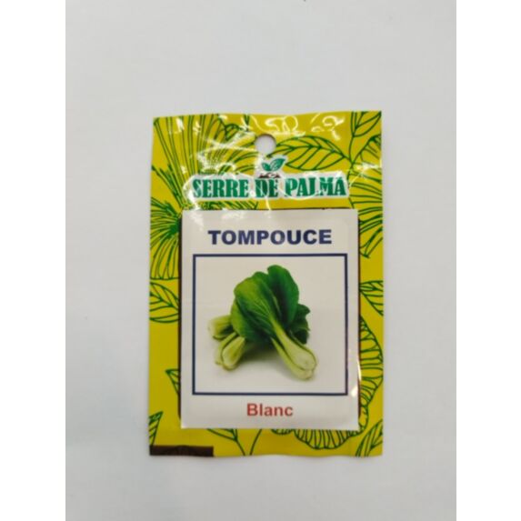 Graines de tom pouce blanc