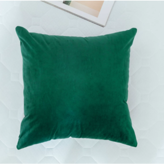 Coussin velours 45x45cm vert