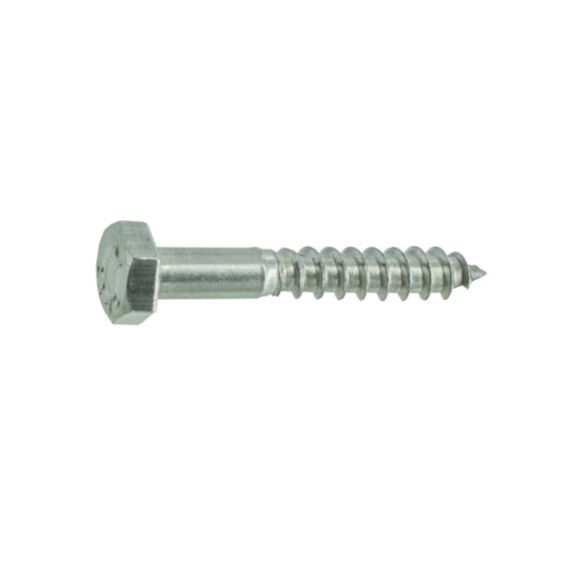 Tire-fonds x 5 inox A2 6x40 - VYNEX