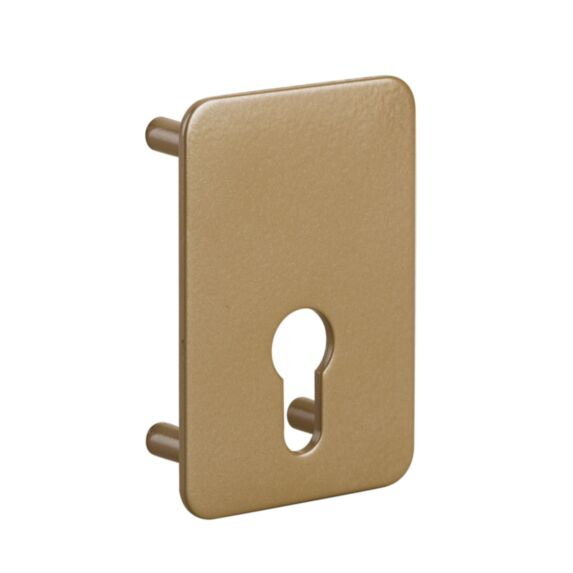 Plaque de renfort pour verrou