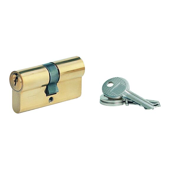 Cylindre Profilé Européen 5 Goupilles Doré 30x30mm 3 Clés - 1ER