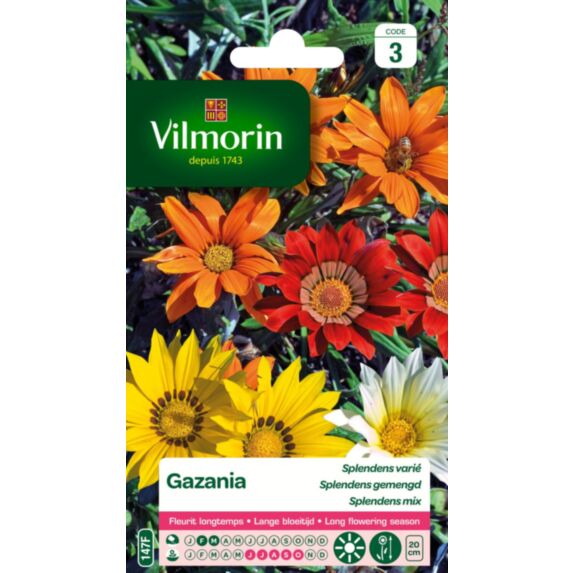 Graines Gazania Splendens Varié - VILMORIN