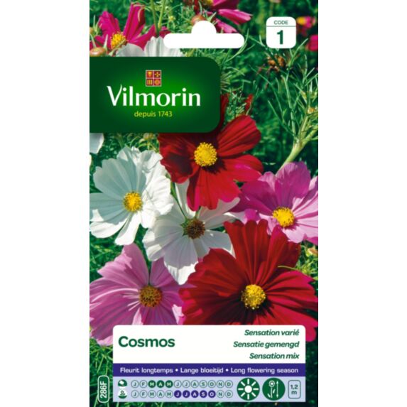 Graine Cosmos Sensation varié sachet 1,2m multicolore - VILMORIN