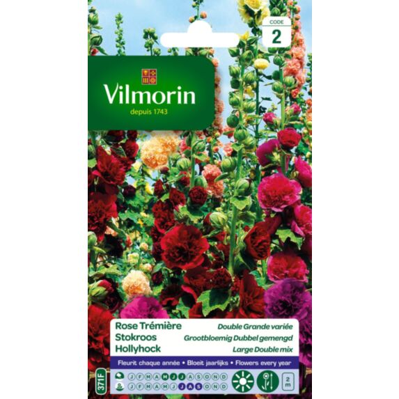 Graines Rose Trémière Double Grande Variée - VILMORIN