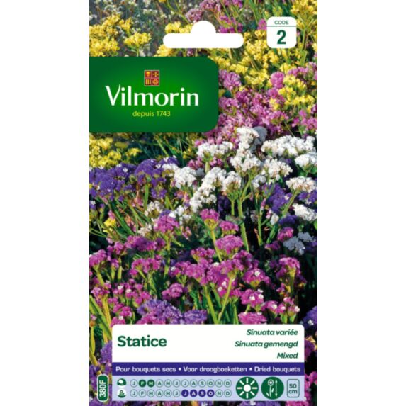 Graines Statice Sinuata Variée - VILMORIN