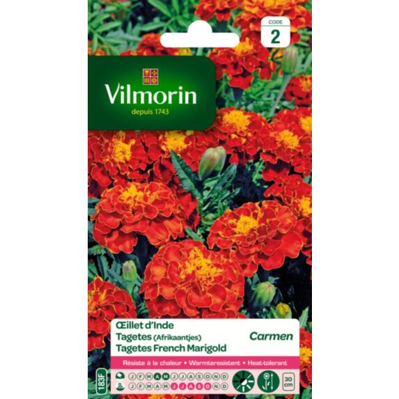Graines Œillet d'Inde Carmen - VILMORIN