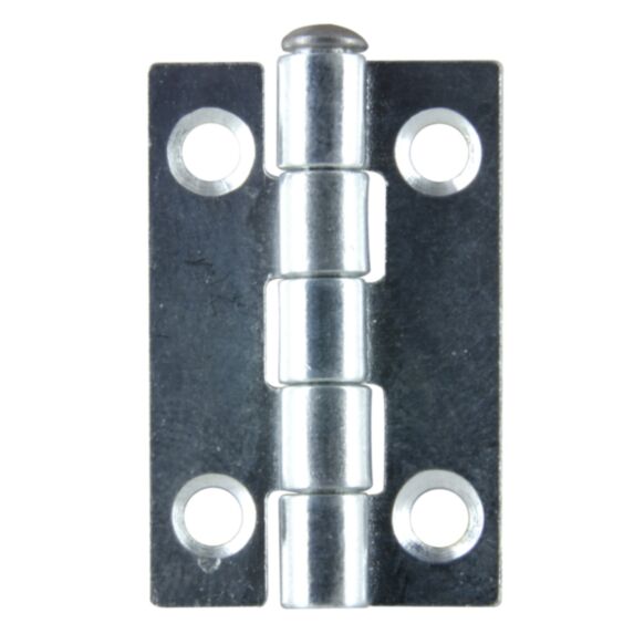 Charnière rectangle acier zingué 30x19 mm x2