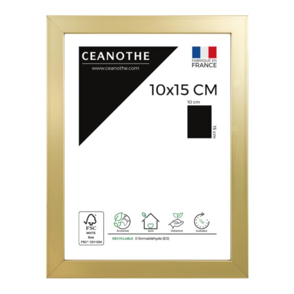 Cadre photo Precious doré 10x15cm - CEANOTHE