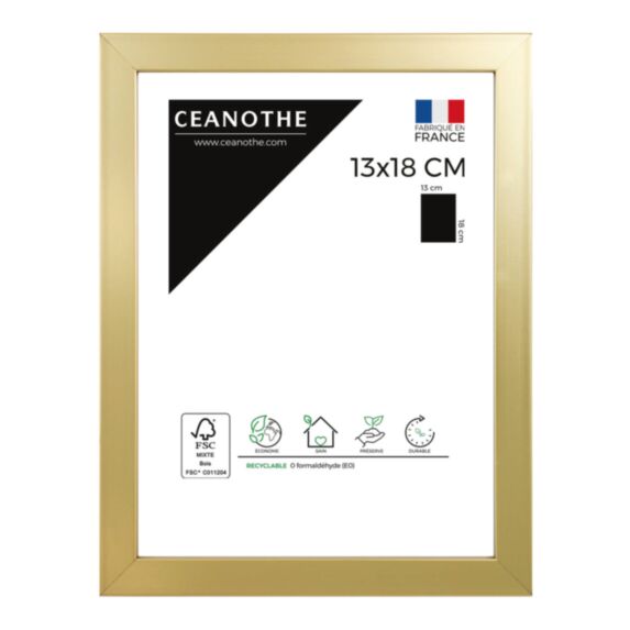 Cadre photo Precious doré 13x18cm - CEANOTHE
