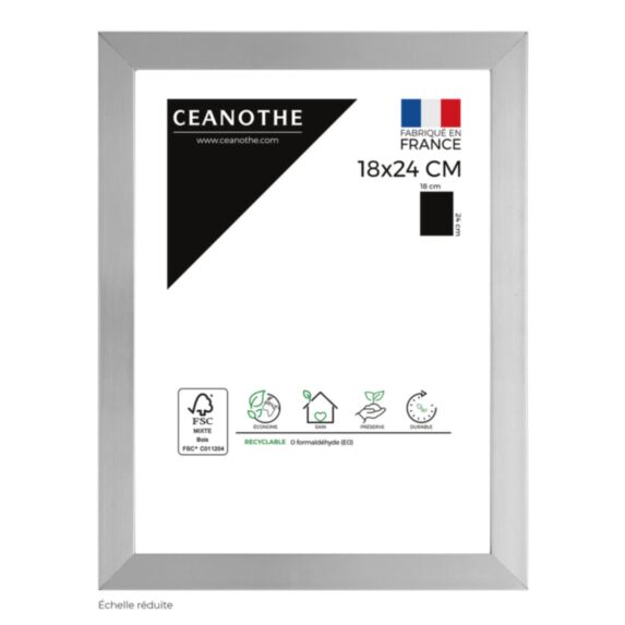 Cadre photo Precious acier 18x24cm - CEANOTHE