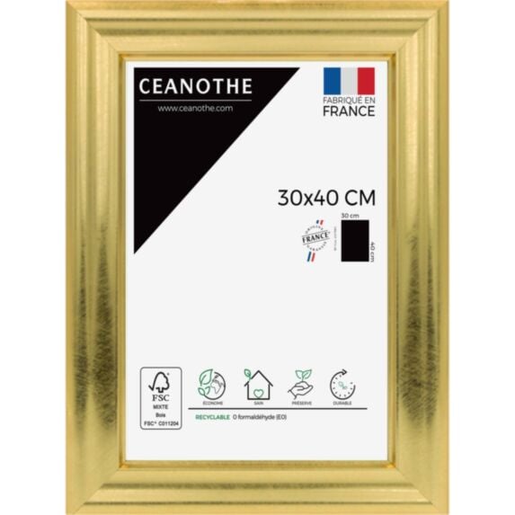 Cadre photo Julia doré 30x40cm - CEANOTHE