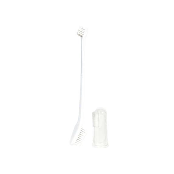 Kit brosse à dent chien